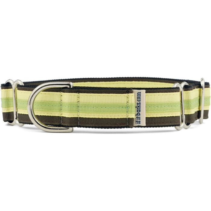 Якщо гавкає Martingale нашийник для собак, нейлоновий, регульований, 2,5 см, середній (38-56 см), Key Lime Pie, вироблено в США