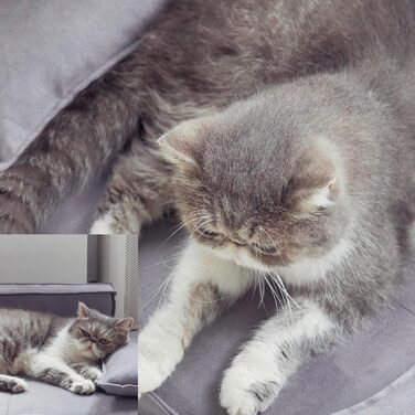 Ортопедичне ліжко для собак HomeConic середнього розміру - м'яке диван-ліжко з Memory Foam, зручне місце для сну, ліжко для собак та котів, сірого кольору