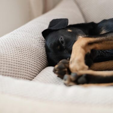 М'яке ліжко для собак 4L Textil Teo, бежеве, 100x80 см. Знімний та пральний чохол, корзина для собак середнього розміру, зручне собаче ліжко.