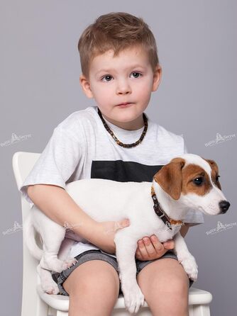 Янтарний намисто для собак | Намисто з бурштину для собак та котів | Намисто для собак з натурального бурштину (28 см)