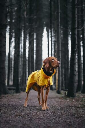 Жовтий дощовик PAIKKA Sichtbarkeit Lite – яскравий та легкий для активного відпочинку