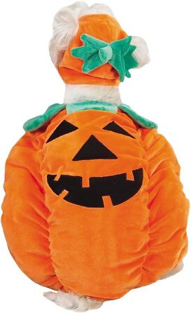 Костюм для собак Zack & Zoey Гарбуз, великий, помаранчевий