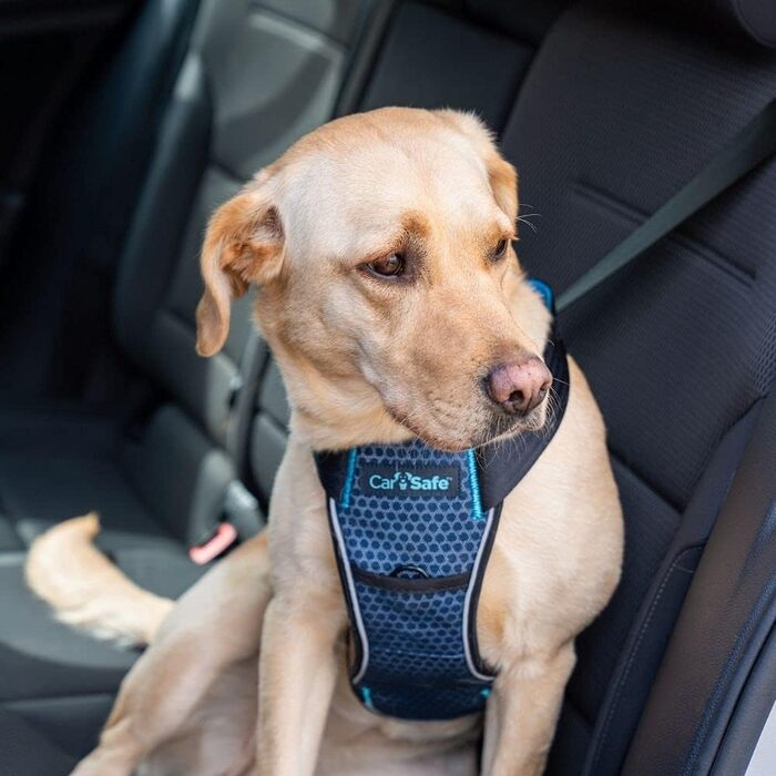 Автомобільна захисна шлейка для великих собак CarSafe, краш-тестована до 32 кг, м'яка та комфортна, безпечна подорож у авто