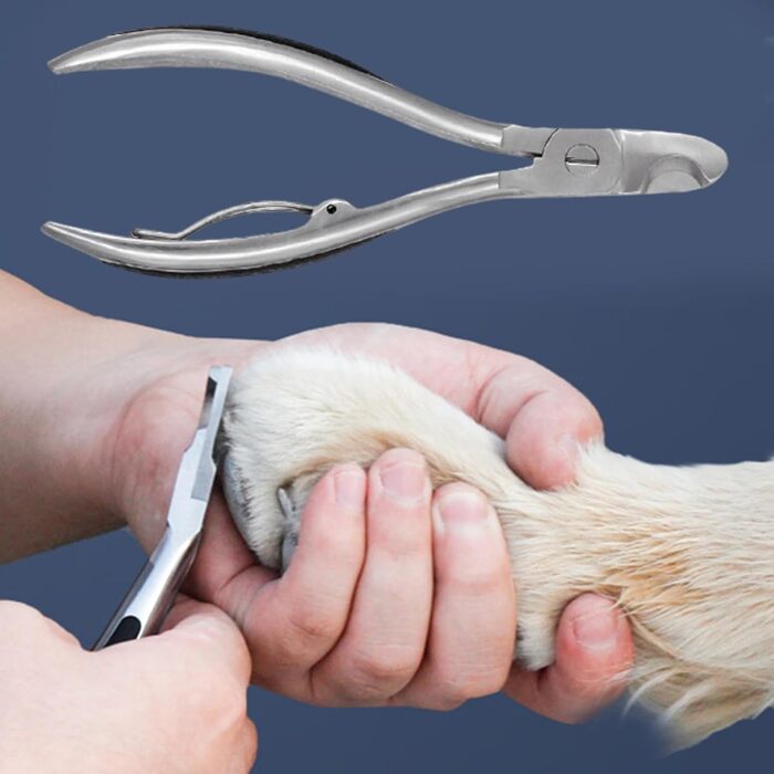 Професійні ножиці для стрижки кігтів собак - прецизійні, з неслизьким покриттям, для великих та середніх порід, котів та інших домашніх тварин. Ідеально для догляду вдома та в подорожах