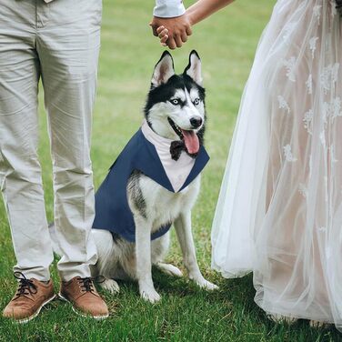 Костюм для собак Kuoser з банданою та краваткою, теплий зимовий, для святкування дня народження, Хелловіну, весілля, S-XXL, синій
