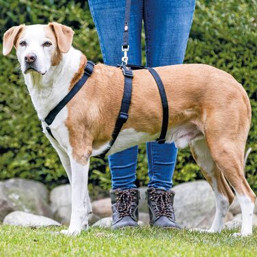 Тарілка для собак Trixie Stay, L-XL, 75-100 см, 25 мм, чорна