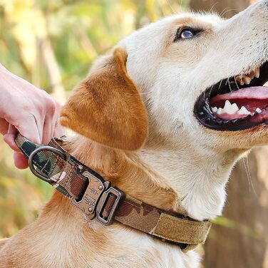 Нашийник для собак регульований з контролем, тактичний нашийник з нейлону, м'який нашийник з металевою застібкою, для середніх та великих собак, для полювання, тренувань, активного відпочинку, сірий, L (45-55 см), XL (55-62 см)