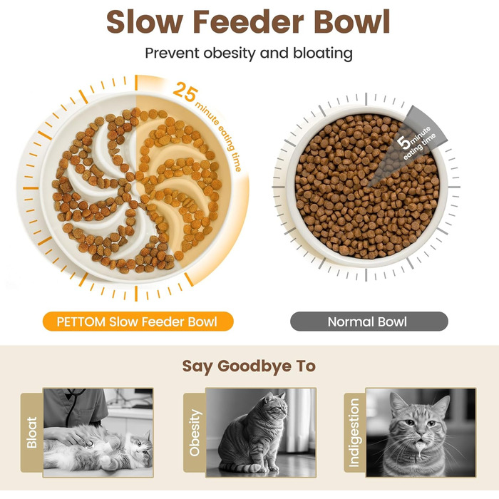 PETTOM Миска для котів протиковзаюча, піднята, керамічна, для повільного годування, біла. Підходить для котів та маленьких собак.