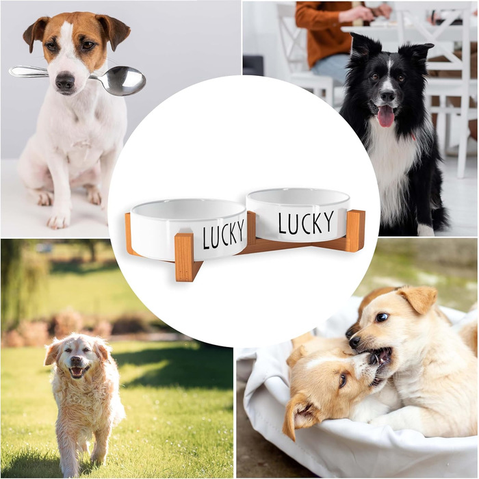 Персоналізована годівниця для собак OWLBOOK з іменем - подвійний набір з кераміки та бамбуку, 300 мл