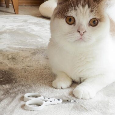 Кігтеріз для котів Necoichi Purrcision, 40 г