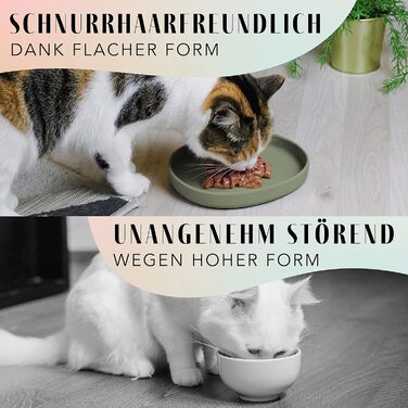 Миска для котів [Nala Collection] - широка миска для корму | Силіконова миска для котів | Миска для котячого корму sage green