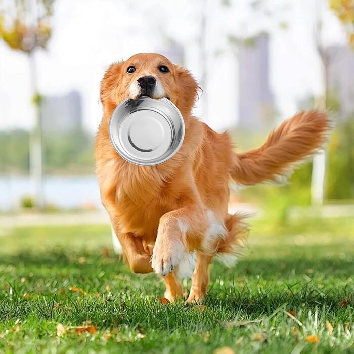 Набір мисок для котів з нержавіючої сталі, 3 шт. Підвищені миски для котів, цуценят та тварин, миски для корму та води