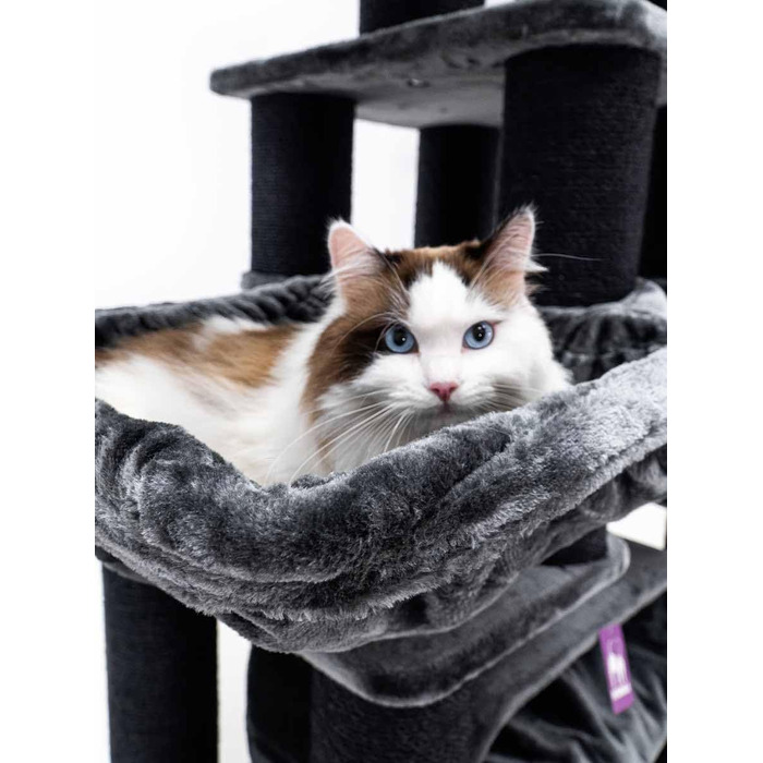 Драбина для котів Petrebels Skyline XXL, 186 см, чорна. Підходить для великих котів, таких як Мейн-кун