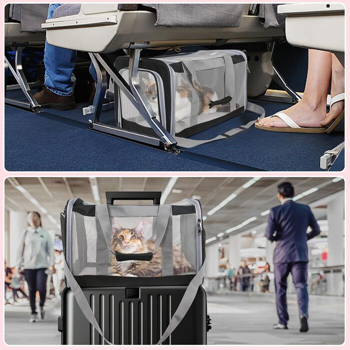 Транспортна сумка для великих котів (до 9 кг), складана переноска для котів/2 кошенят, м'які стінки, переноска для собак з надійним ремінним кріпленням, чорного кольору