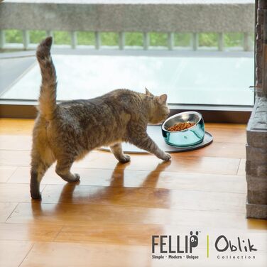 Felli Pet піднята миска для котів з нержавіючої сталі, антивтомна, антивиливна, кутова, плоска, проти блювання, акрилова підставка, для кошенят та цуценят