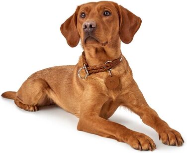 HUNTER Dressurhalsung SOLID EDUCATION: шкіряний сідловий ремінь для тренувань, колір cognac, розмір M-L, Made in Germany