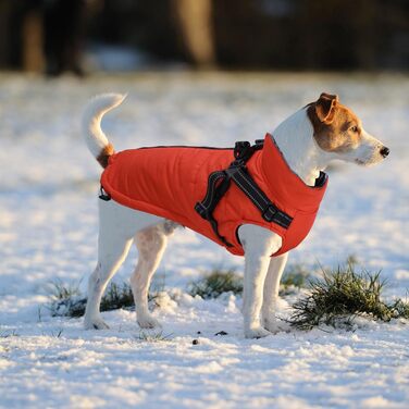 Теплий зимовий одяг для собак з кріпленням для повідка - водонепроникна куртка для собак з блискавкою, оранжевого кольору, XXL (довжина спини: 52 см)