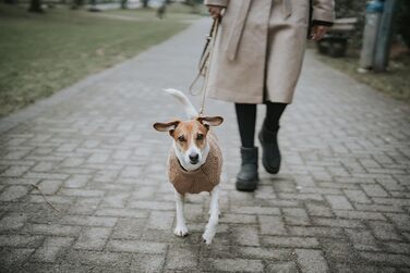 Теплий пуловер для собак HUNTER Malmö, бежевий, в'язаний, розмір 35