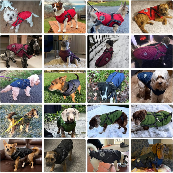 Зимова куртка для собак маленьких порід, водонепроникна, тепла, на шлейці, зелена L