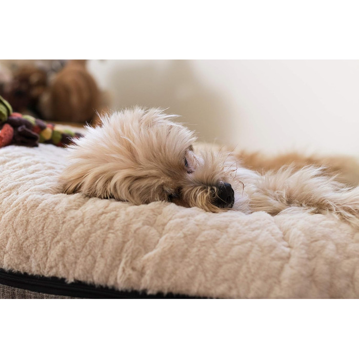TrendPet Велике м'яке ліжко для собак, подушка (60x20 см)