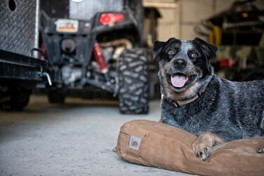 Міцне ліжко для домашніх тварин Carhartt з канвасу, ліжко для собак Carhartt Brown, розмір M, 69 x 89 x 10 см