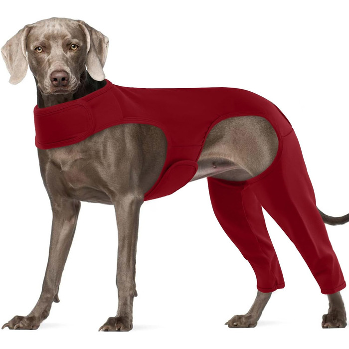 Комбінезон для собак після операції на ногах – захист від витікання, запобігання інфекцій, розмір XL, бордовий