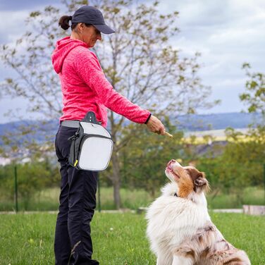 PETCUTE Сумка для тренування собак, міцна сумка для ласощів, сумка для перекусів для собак зі змінним плечовим ременем, поясний ремінь і кліпса (темно-сірий + сірий)