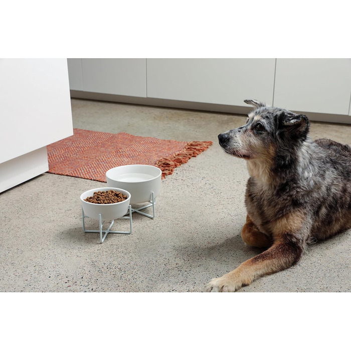 Waggo Миска для собак з підставкою, керамічна, середня, матова біла, залізна підставка