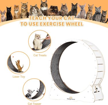 Катання для котів Homegroove, 113 см - біле, XL. Бігове колесо для котів знімним килимком для схуднення та здоров'я