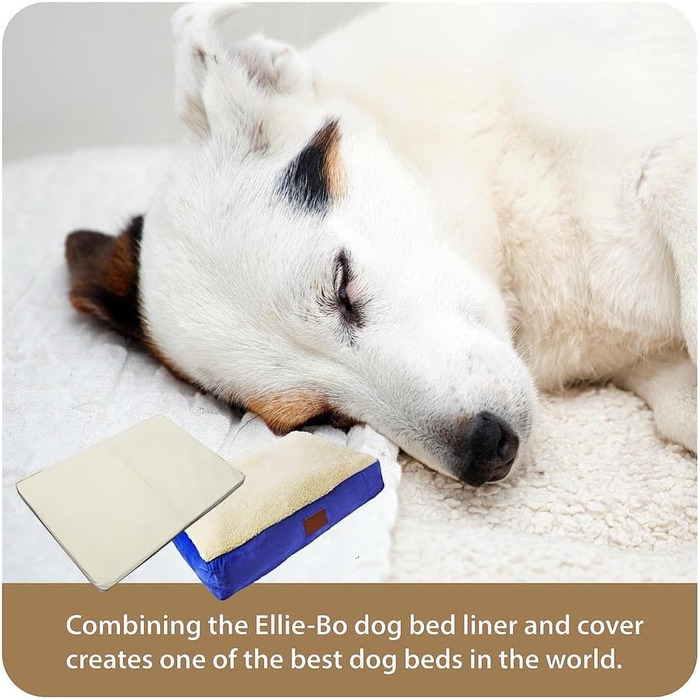Ортопедичне собаче ліжко Ellie-Bo з піною з пам'яті, з чохлом з штучної замші та штучного хутра, блакитне та біле, розмір M, 71 x 48 x 6 см, для собачого клітки 76 см - [71 x 48 x 6 см] Блакитна замша/Штучне хутро