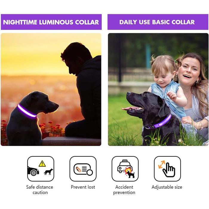 Світловідбиваючий нашийник для собак ASBRILL з USB-C, LED нашийник для собак, регульований, водонепроникний, 3 режими світіння, для малих, середніх та великих собак (L, фіолетовий)