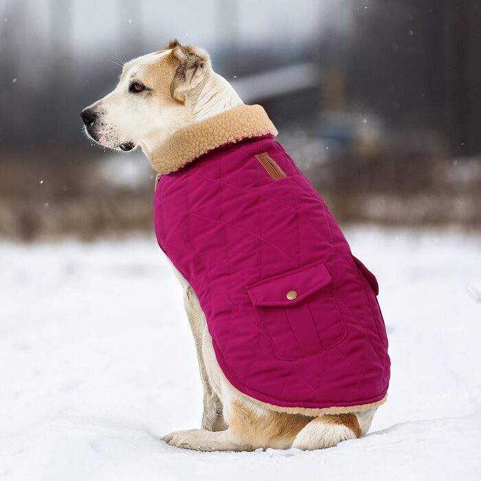 Зимовий теплий одяг для собак Citétoile - куртка з флісу для собак, з отвором для шлейки (L, фіолетовий)