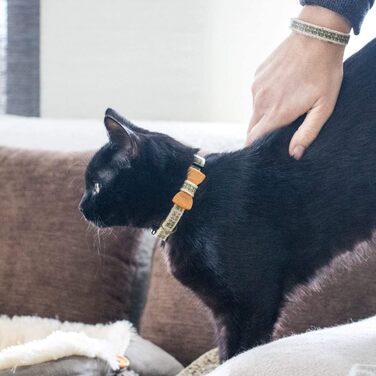 Pettsie нашийник для котів із безпечним замком та дерев'яною метеликом, комплект з браслетом для господаря, міцна бавовна, регулювання 20,3-28 см, чорний