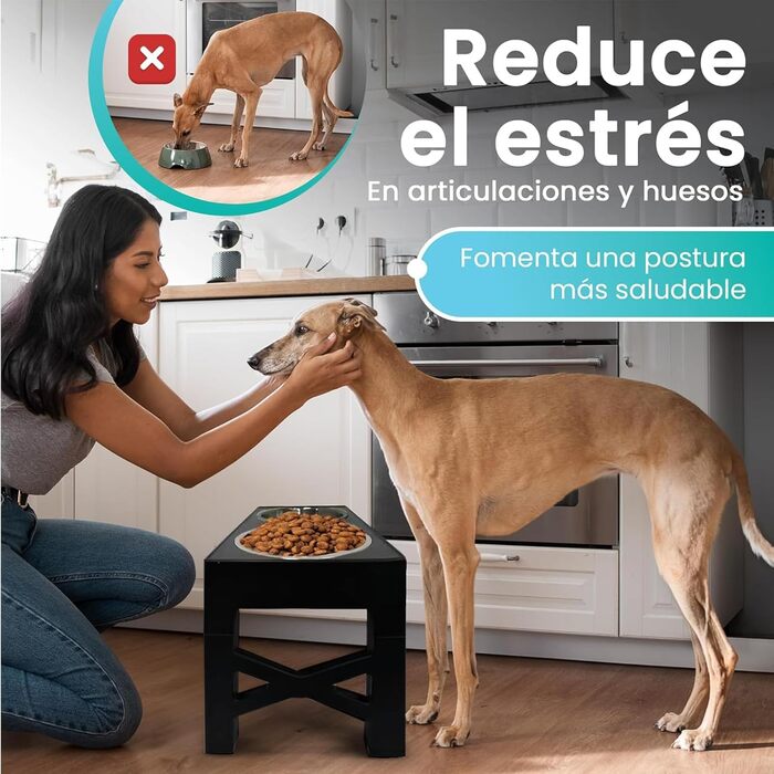 Підвищуюча годівниця для собак NOVARKA® з регулюванням висоти | Набір з миски з нержавіючої сталі та антибактеріальної миски | Преміум-набір з антиковзною підкладкою та лопаткою для корму