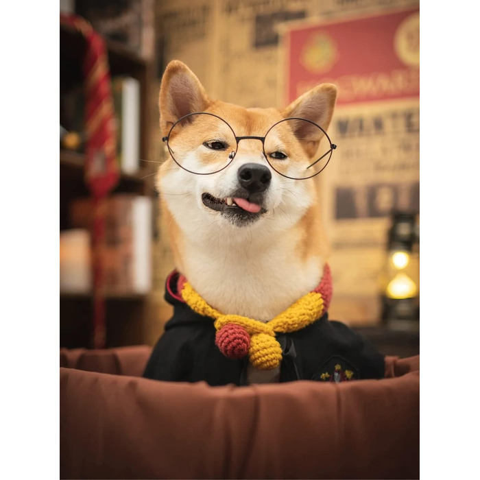 Костюм для собак та котів з окулярами та краваткою, Cosplay, розмір M (Грифіндор)