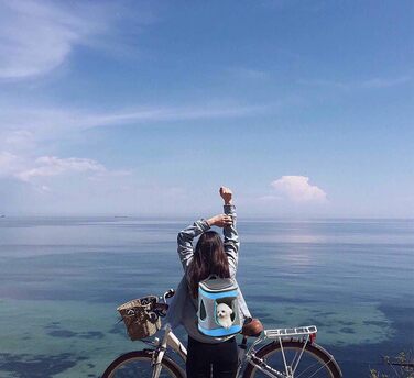 Складана переноска для собак та котів - транспортна сумка для авто та авіаперельотів. Зручна, безпечна, міцна. Колір: сіро-технозелений