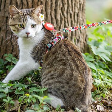 Шлейка та поводок для котів, анти-вислизання, для прогулянок, подорожей, на вулицю, м'який нейлон, регульована, милий комплект шлейки з тримачем Airtag, для кошенят та великих котів. Розмір шиї: 19-31 см, груди: 27-46 см, квітковий принт