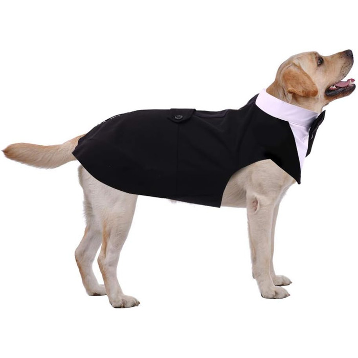 Костюм для собак: смокінг та бандана (середній, чорний)