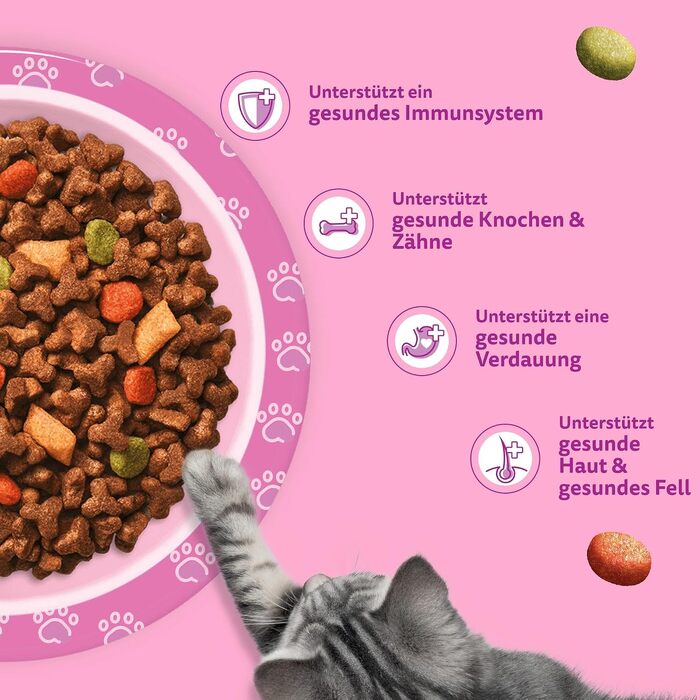 Сухий корм для котів Whiskas Junior з куркою, набір 5 x 800 г
