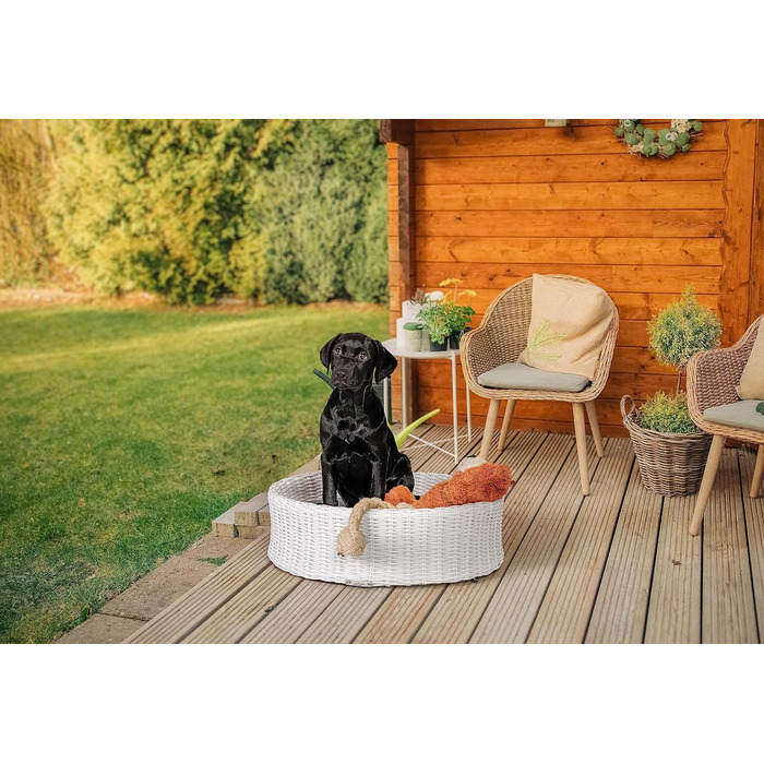 Крісло-ліжко для собак Greemotion з білого поліротангу з подушкою, 85 x 25 x 75 см