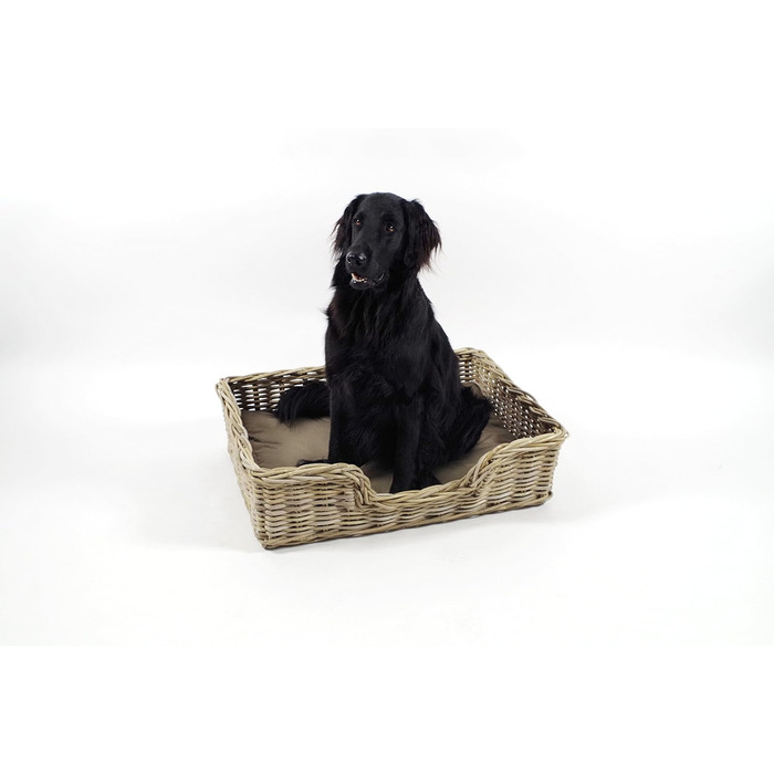 Корзина для собак Kobolo з плетеного ротангу, собаче ліжко з подушкою, 81x62x21 см