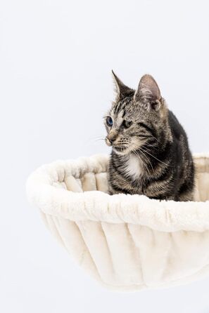 Дряпак Petrebels Charlotte 134 см, преміум-якість, для котів, з гамаком, лежанкою та будиночком, бежево-кремовий