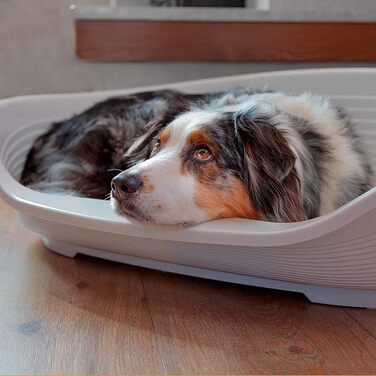 Лежанка для собак та котів Ferplast Siesta Deluxe, пластикова, середнього розміру, 74x48x25 см, білий колір, миється, зручна, з антиковзаючим покриттям