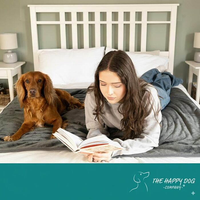 Водонепроникний плед для собак великих порід - м'який фліс, миючий накид для тварин на диван, авто, ліжко та захист меблів, двосторонній плед, 100 x 120 см, Сірий/Сірий (XX-Large (152 x 200 см), Сірий Sherpa/Сірий фланель)