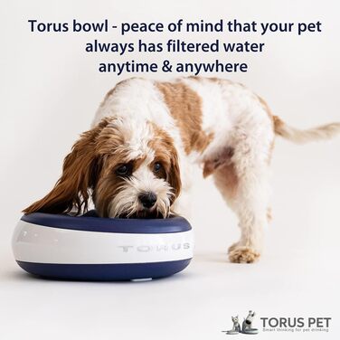 Автоматична поїлка Torus Pet Maxi для собак і котів, 2 л, синя, з фільтром, антимікробна, BPA-free, для дому і подорожей, не протікає