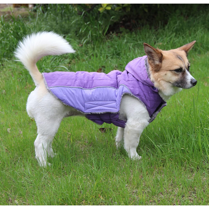 Флісовий теплий пуловер з капюшоном для собак, тепла куртка для цуценят на зиму, зелений, розмір S