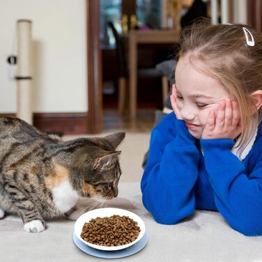 Набір мисок для котів з кераміки (3 шт.) з антиковзкими килимками, миски для корму котів, собак, кроликів, керамічні миски для їжі