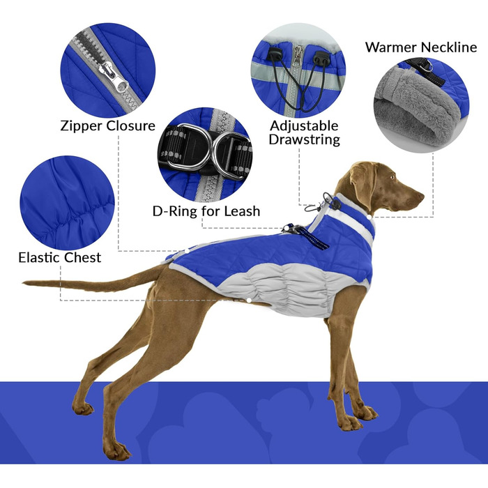 Зимова куртка для собак, теплий флісовий зимовий костюм для собак середнього розміру (синій, M)