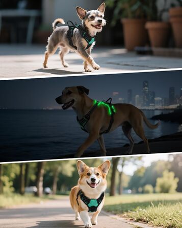 Світловідбиваючий нашийник для собак Joytale з LED, для середніх собак, без натягування, з ручкою, регульований, для нічних прогулянок, зелений, розмір M (1 шт.)