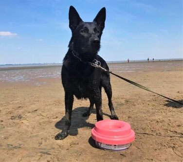 Миска для собак Tilty Bowl XL (антрацит-сірий)